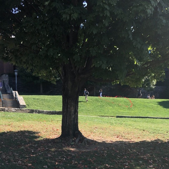 Meet your Posher, Quay - Picture 1 of 1